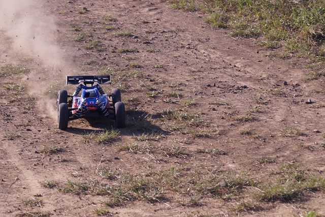 Rent Buggy