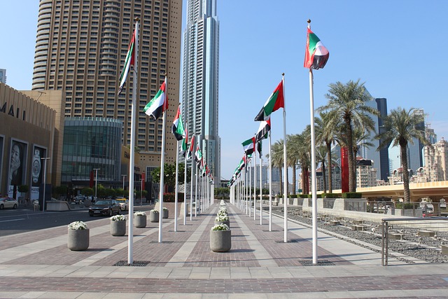 rzr dubai