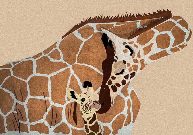 safari-640x480-40647535.jpeg