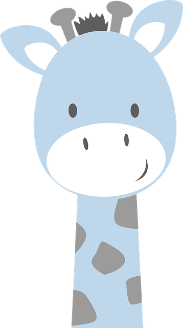 Safari