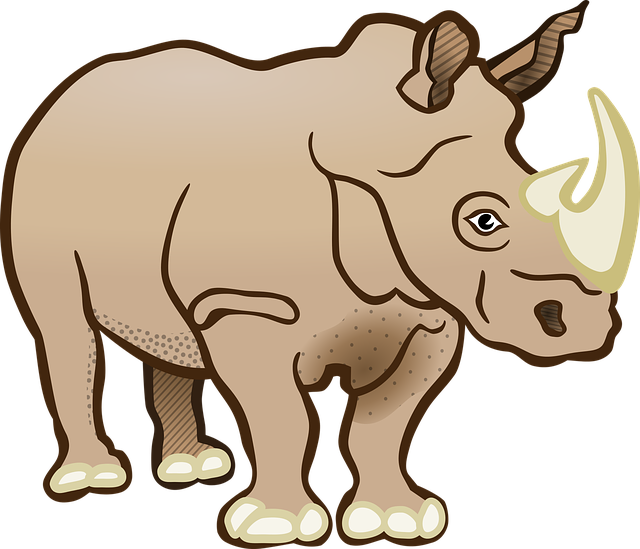Safari