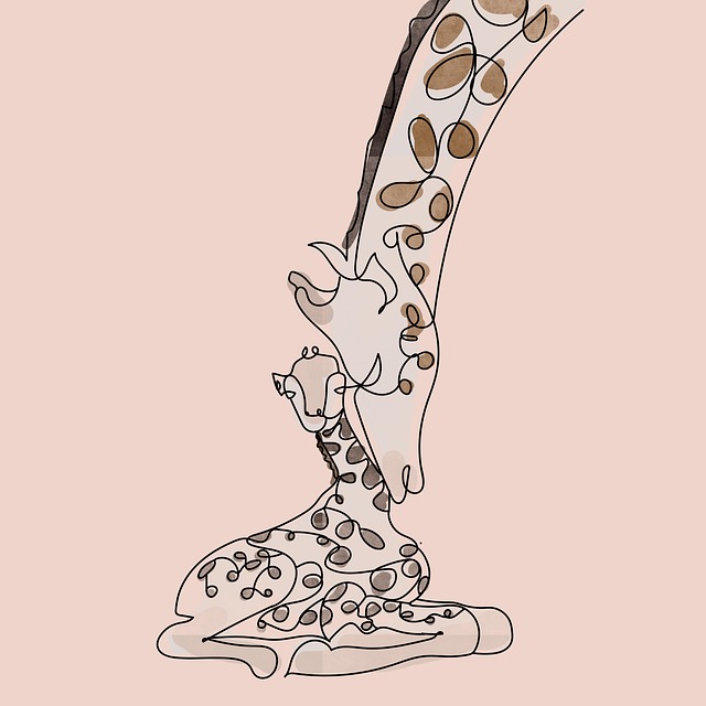 safari cheap