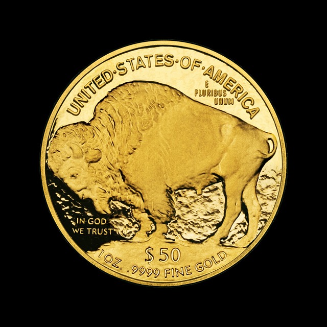 safari cheap