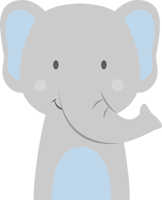 safari cheap