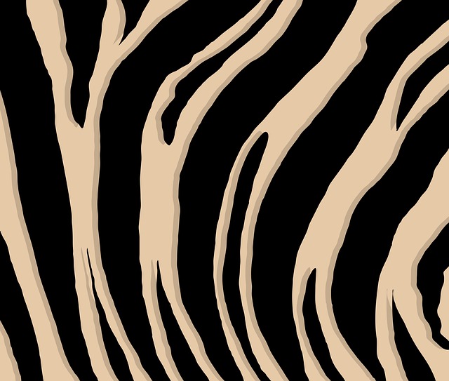 safari deals