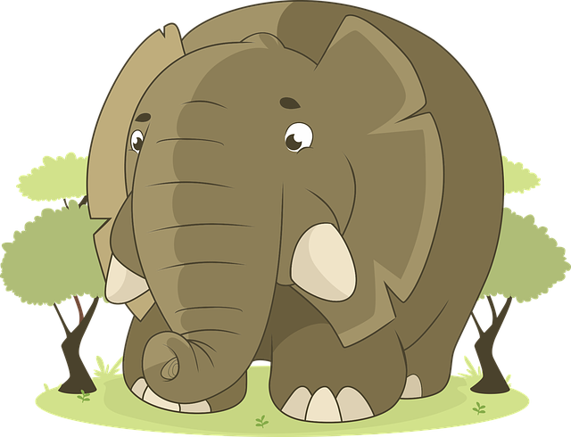 safari ticket