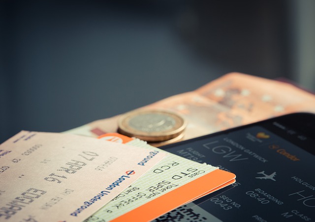 safari ticket