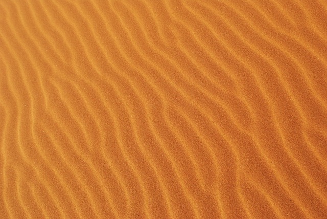 sand buggy
