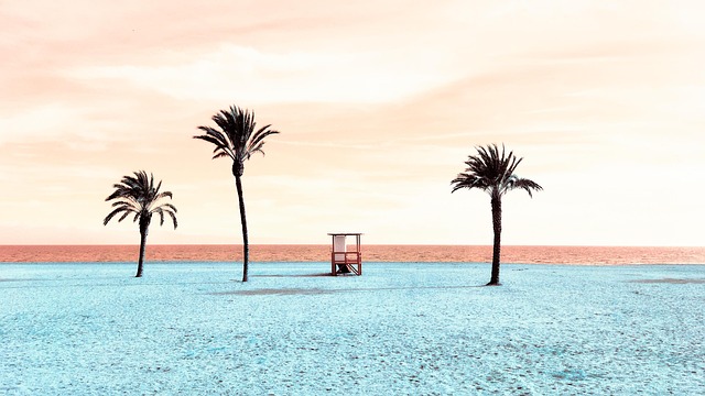sand buggy