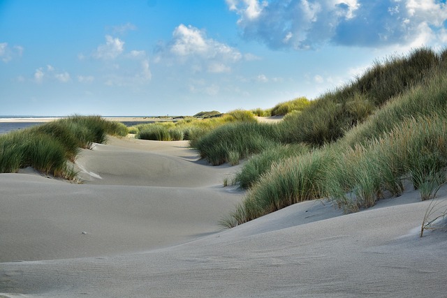 sand buggy