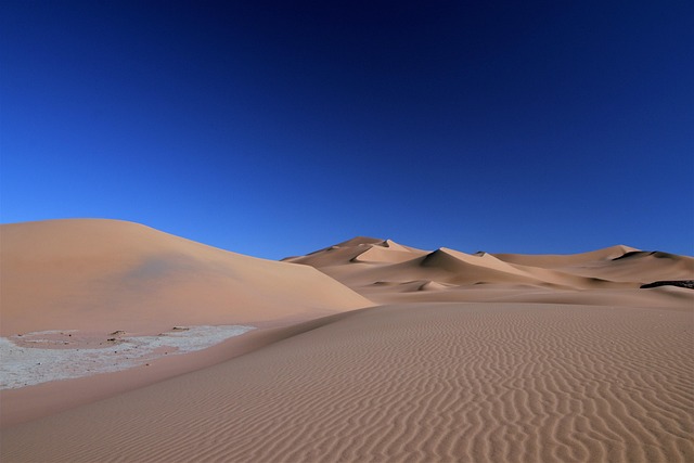 sand dune buggy