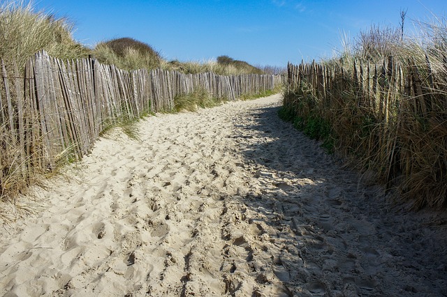 sand-dune-buggy-640x480-14602904.jpeg