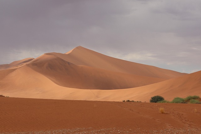 sand dune buggy