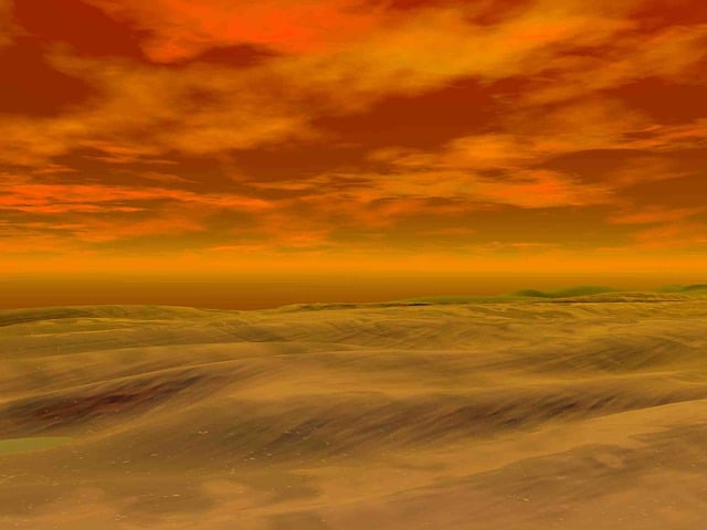 Sand Dune Buggy