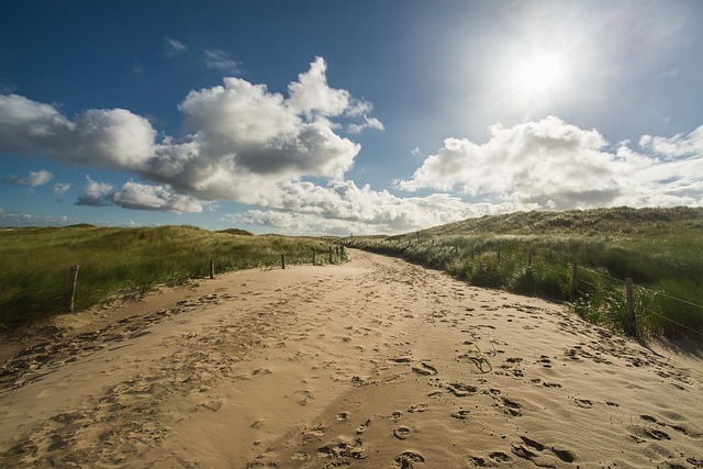 sand-dune-buggy-640x480-19894718.jpeg