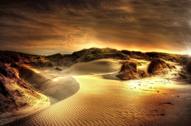 Sand Dune Buggy
