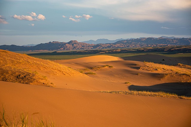 sand dune buggy