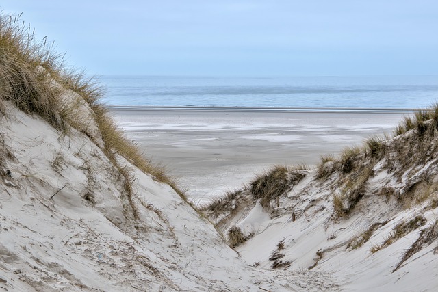 sand dune buggy