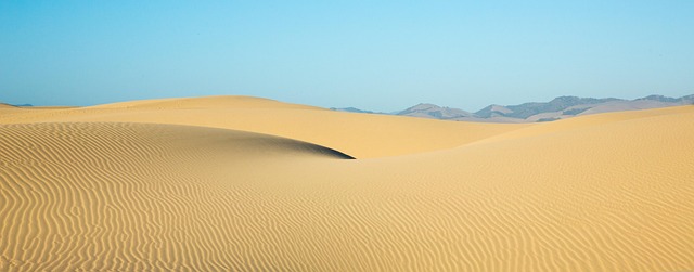 Sand Dune Buggy
