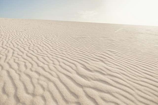 sand dune buggy