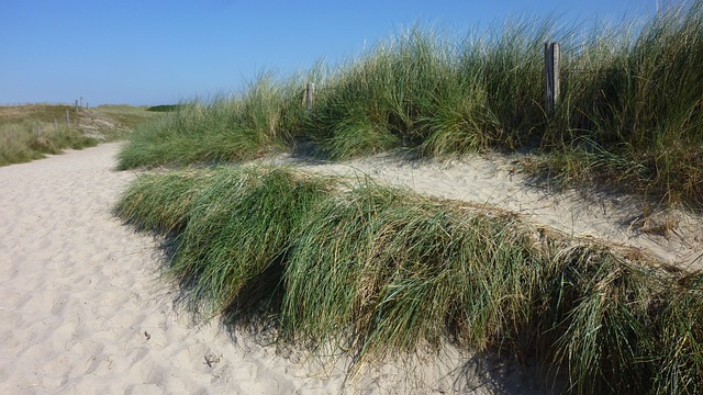 sand dune buggy