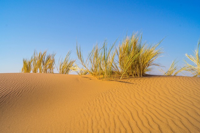 sand dune buggy