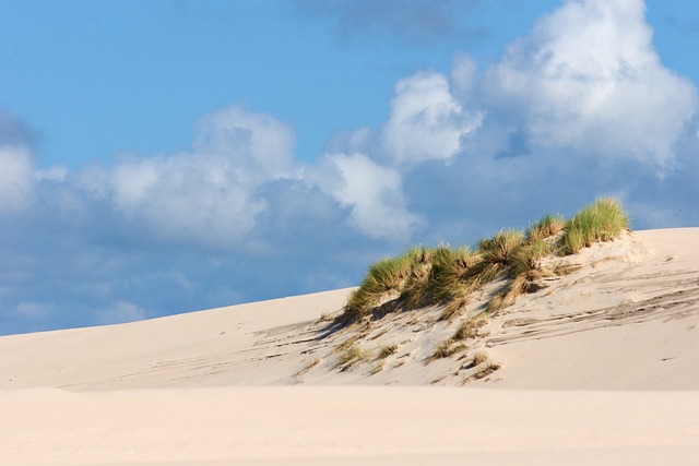 Sand Dune Buggy