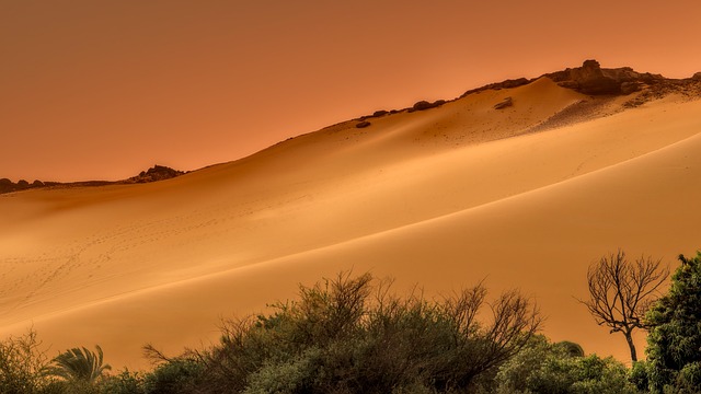 Sand Dune Buggy