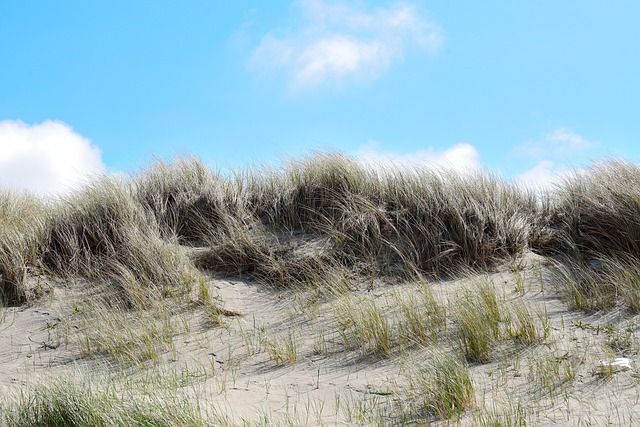 sand dune buggy