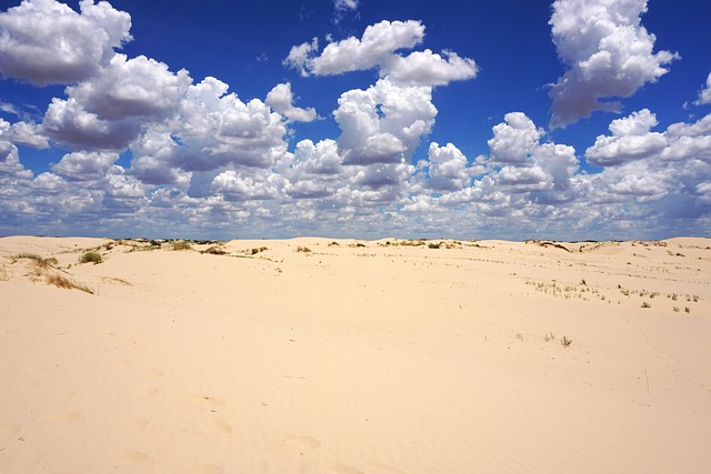 sand dune buggy