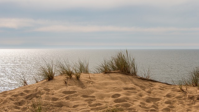 sand dune buggy