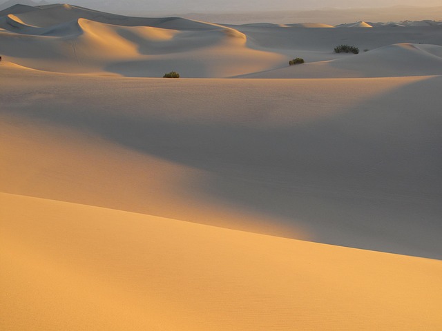 sand dune buggy