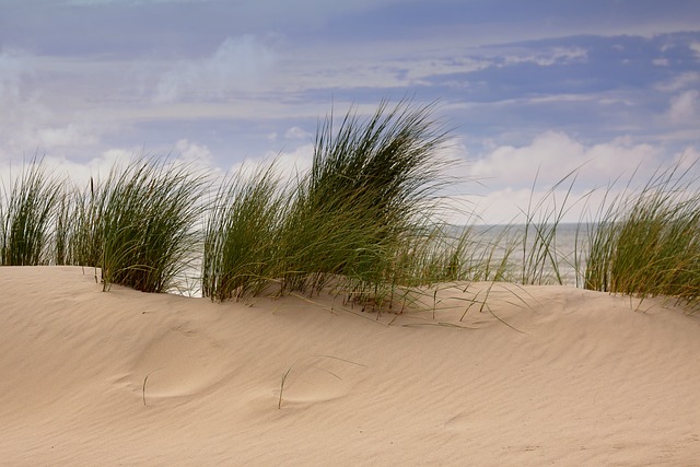 Explore Dubai’s Deserts: Ultimate Guide to Sand Dune Buggy Rental