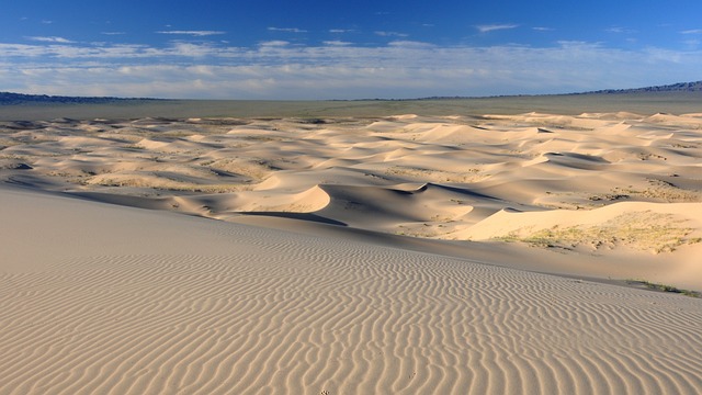 Sand Dune Buggy
