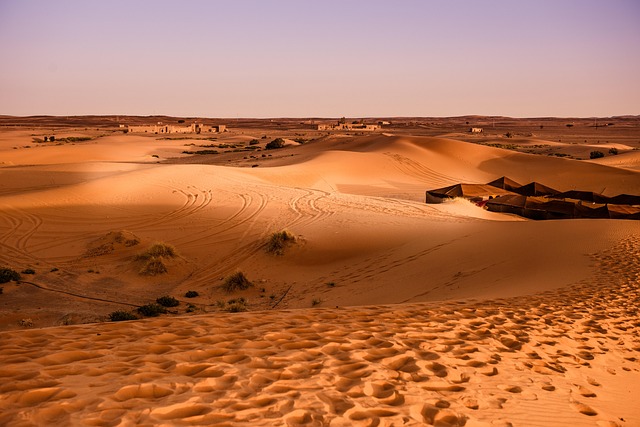 sand dune buggy