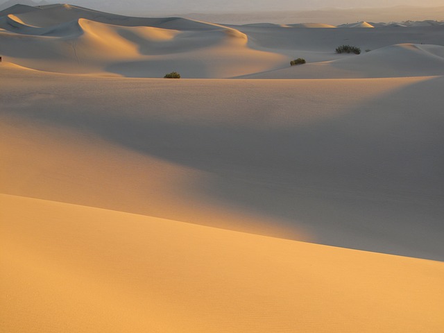 sand dune buggy
