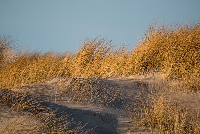 Sand Dune Buggy Rental Dubai: Explore Dubi’s Natural Wonders Safely