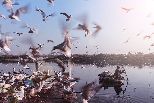 Self-Drive Boat Hire Dubai: Explore Marina at Your Own Pace