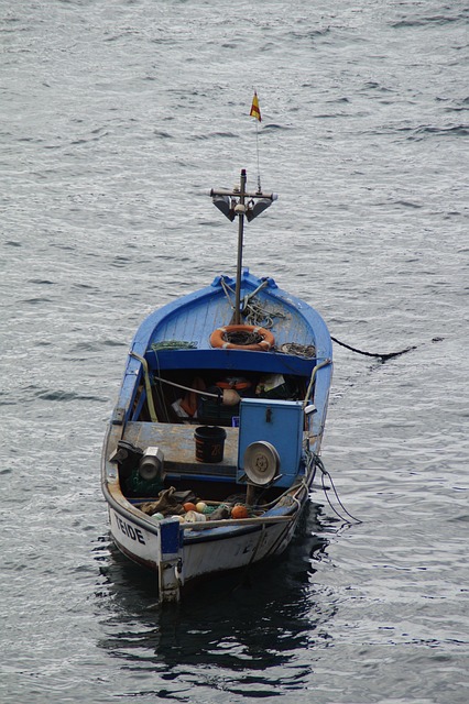 self drive boat