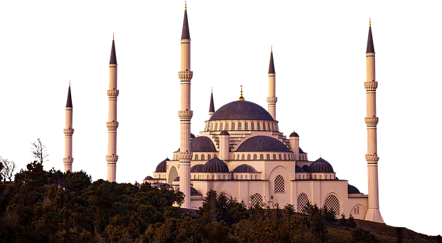 sheikh zayed mosque