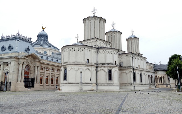 sightseeing city tours