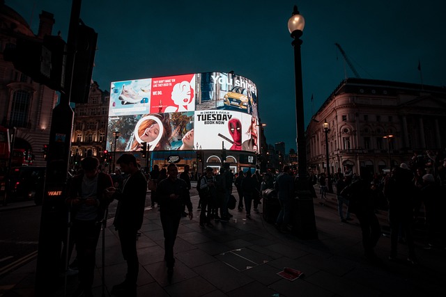 sightseeing city tours