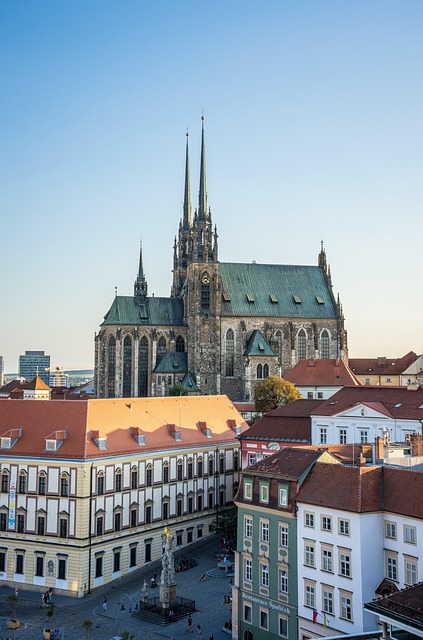 sightseeing city tours