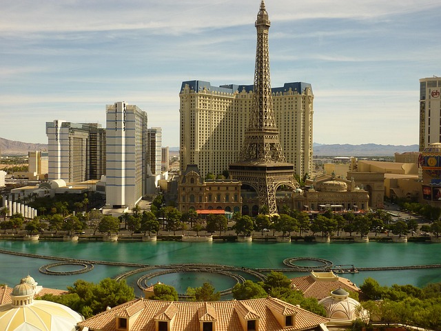 sightseeing city tours