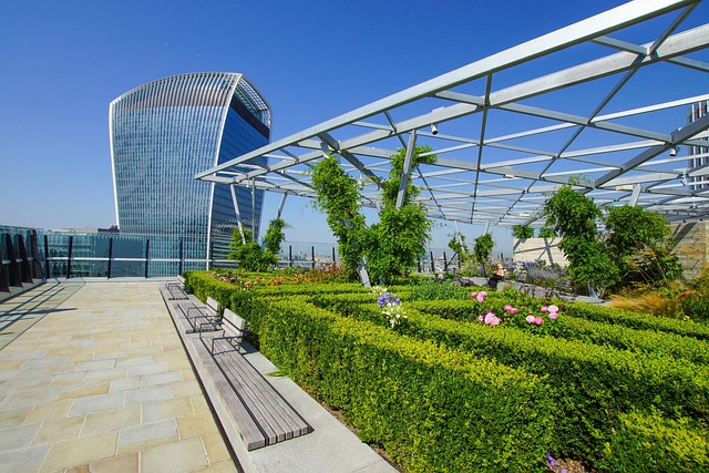 sightseeing city tours