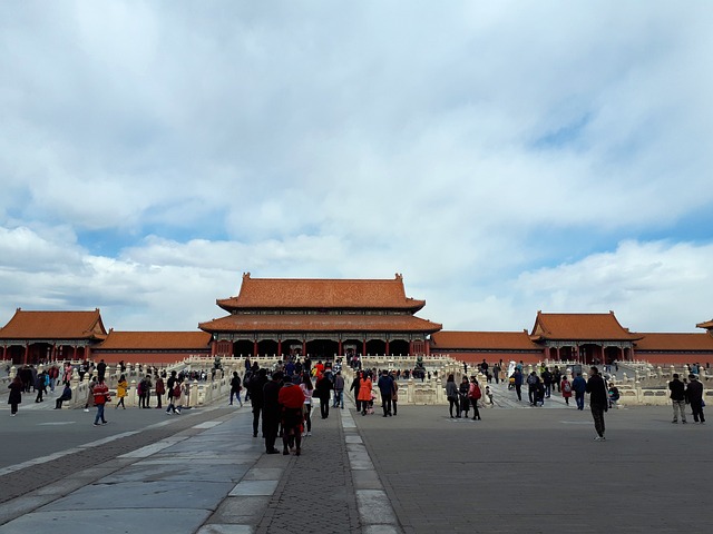 sightseeing city tours