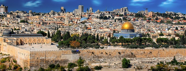 sightseeing city tours