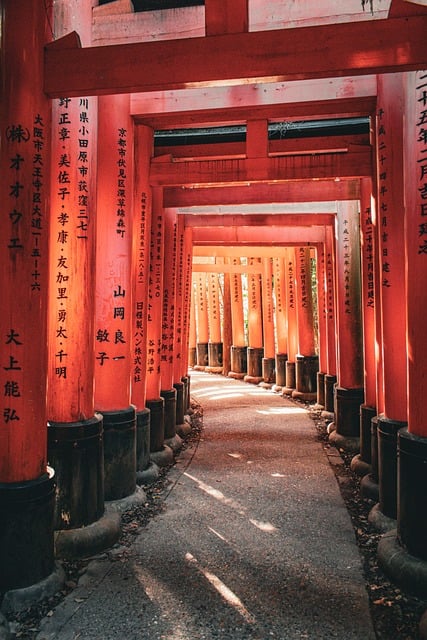 sightseeing packages