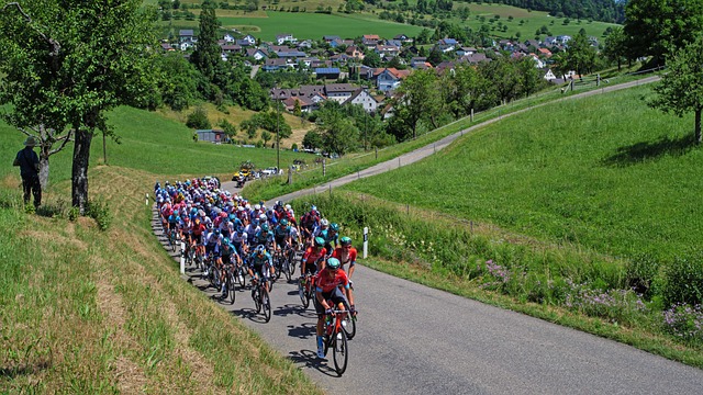 sightseeing-tour-640x480-72883732.jpeg