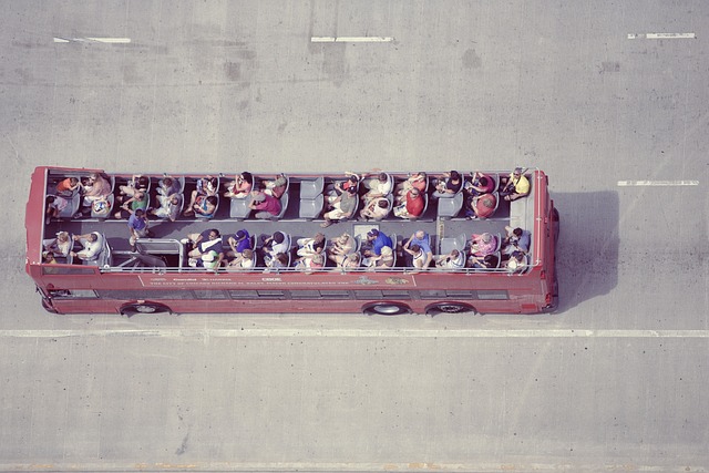sightseeing tour